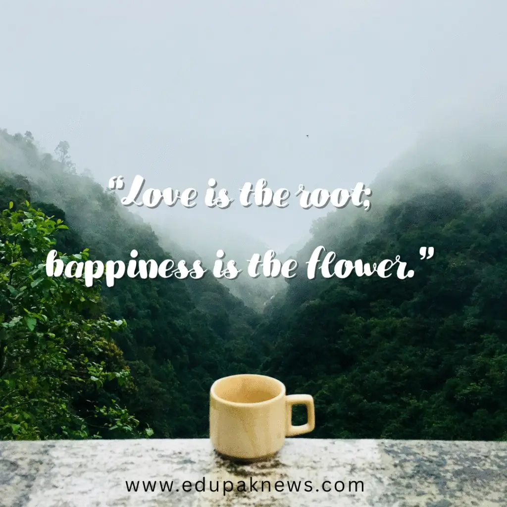 The Beauty of True Happiness Quote